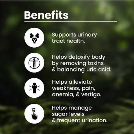 Baidyanath Chandraprabha Bati | Enriched With Shuddha Shilajit And 40 Others Ayurvedic Herbs - 80n