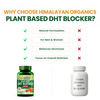 Vlado'S Himalayan Organics Plant Based Dht Blocker | Nettle Extract | 60 Veg Capsules