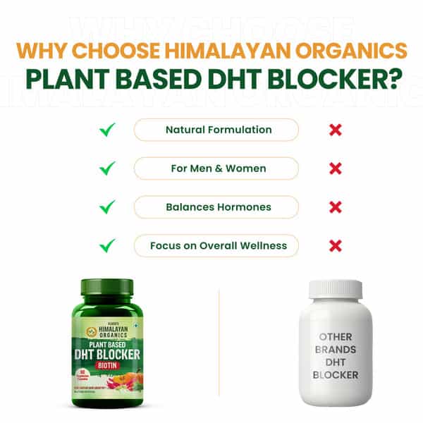 Vlado's Himalayan Organics Plant Based Dht Blocker | Nettle Extract | 60 Veg Capsules