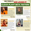 Neulife Clean-Plant Protein Isolate Powder | Vegan | 500G (Swiss Chocolate)