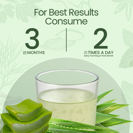 Krishna's Special Aloe Vera High Fiber Juice - 1 Litre