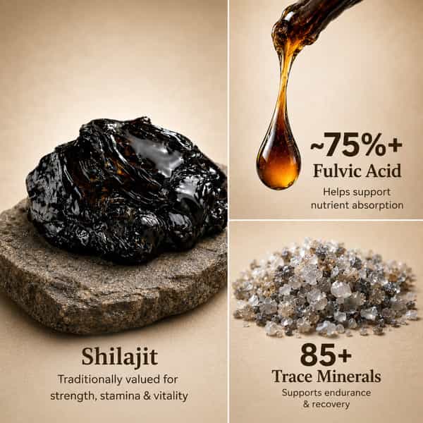 Herbs O' Shrubs Shilajit Pro Snap Sachet | Ayurvedic Resin For Energy | 30 Sachets