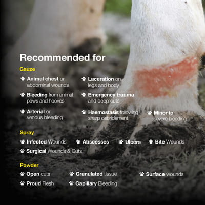View product image 5