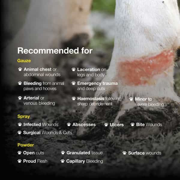 Sureklot First Aid Veterinary Combo