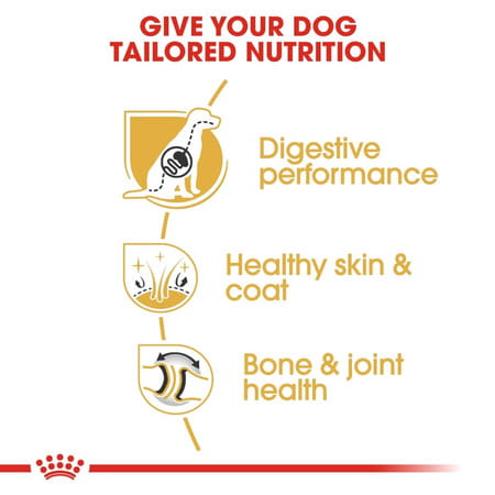 Royal Canin German Shepherd Adult Dog Food | 3 Kg | Dry Food | Supports Digestive Health