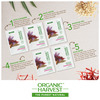 Organic Harvest Kumkumadi Radiance Facial Kit | Women | Saffron, Oat Milk & Sandalwood Extract, 40Gm