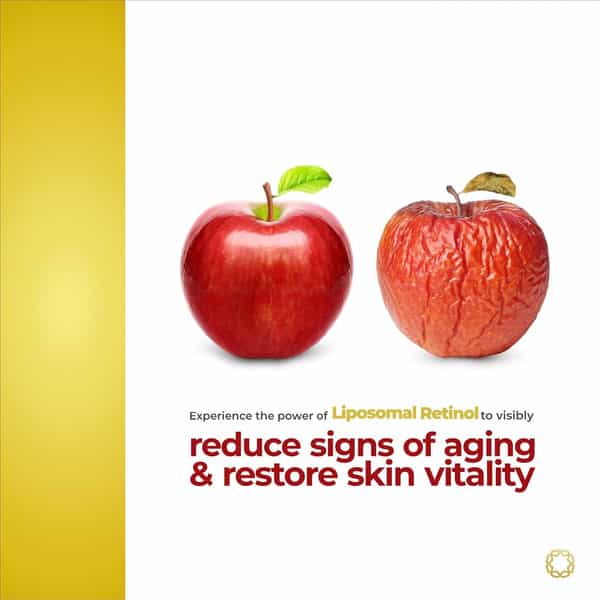 Brinton D'experts Anti-Aging Cream With Retinol | Hyaluronic Acid | Moringa | 30Gm