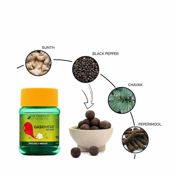 Dr. Vaidya's Gasoherb Pills - Relief From Gas Problems Pills 30