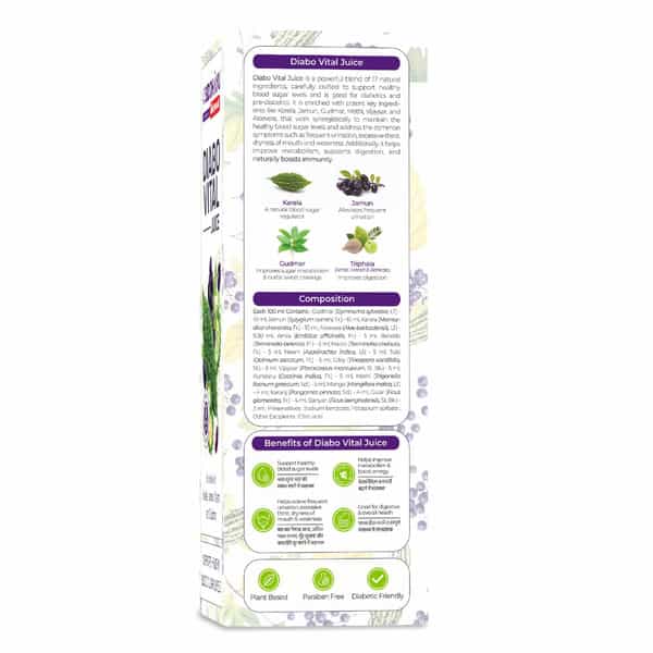Baidyanath Asli Ayurved Diabo Vital Juice | Diabetic Care | Blend With Karela Jamun Neem Gudmar - 1L