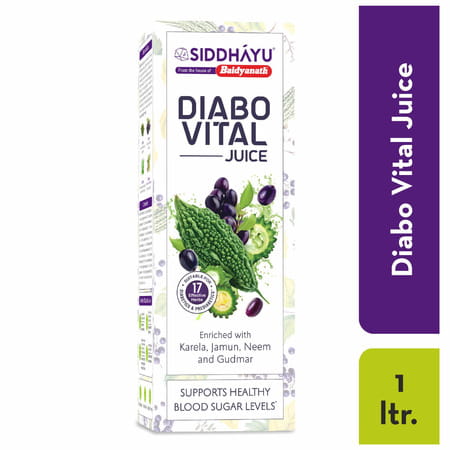 Baidyanath Asli Ayurved Diabo Vital Juice | Diabetic Care | Blend With Karela Jamun Neem Gudmar - 1l