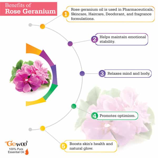 Pack Of 2 Rose Geranium Essential Oil & Chaulmoogra Carrier Oil - 100% Undiluted Therapeutic Grade
