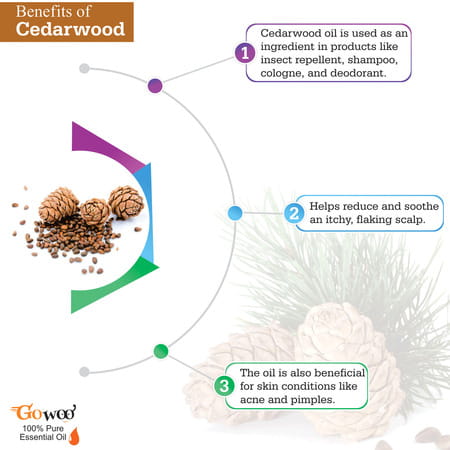 Go Woo 100% Pure Cedarwood Oil Virgin & Undiluted 10 Ml