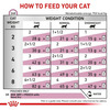 Royal Canin Renal With Tuna Feline (Pack Of 12)