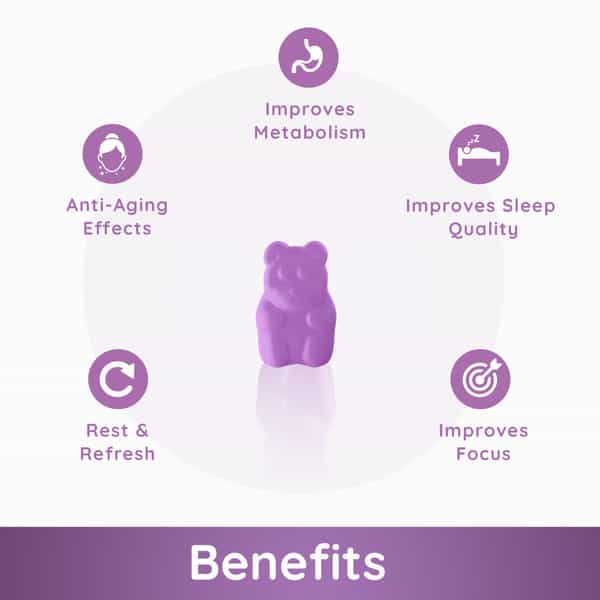 Purna Melatonin Wild Berry Flavor Gummies For Sleep Well & Reduced Stress 30 Day Pack