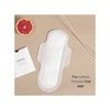 Carmesi All Natural Sanitary Pads - 5 Regular + 5 Xl (10 Pads)