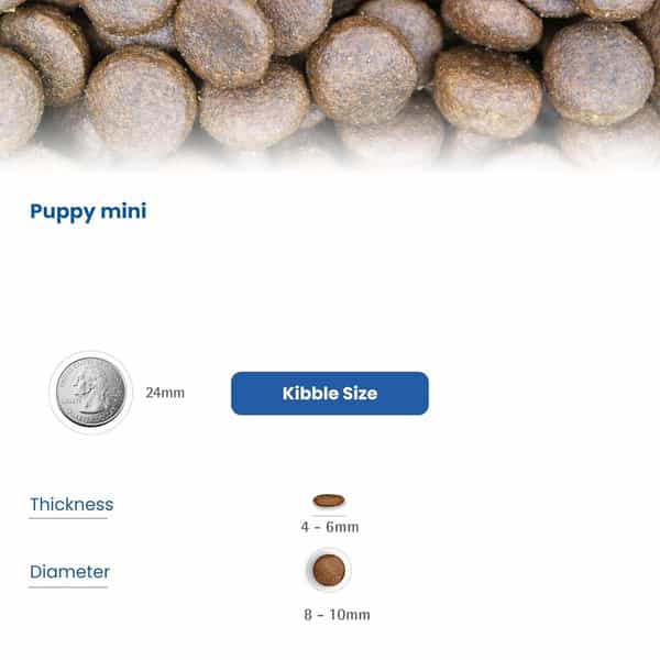 Farmina N&D Pumpkin Puppy Mini Dog Food | Lamb | Blueberry & Pumpkin | 2.5Kg