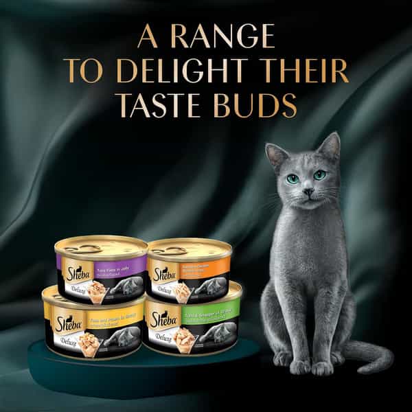 Sheba Deluxe Premium Adult (1+ Years) Wet Cat Food | Succulent Chicken Breast In Gravy | 24 X 85 G