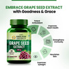 Vlado's Himalayan Organics Grape Seed Extract 500Mg For Healthy Cholesterol Level - 90 Veg Capsules