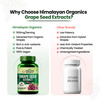 Vlado's Himalayan Organics Grape Seed Extract 500Mg For Healthy Cholesterol Level - 90 Veg Capsules
