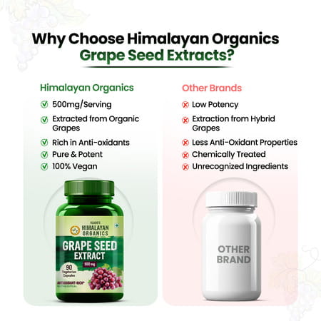 Vlado'S Himalayan Organics Grape Seed Extract 500mg For Healthy Cholesterol Level - 90 Veg Capsules