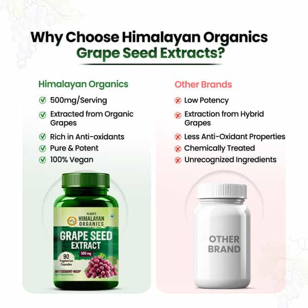 Vlado's Himalayan Organics Grape Seed Extract 500Mg For Healthy Cholesterol Level - 90 Veg Capsules