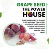 Vlado's Himalayan Organics Grape Seed Extract 500Mg For Healthy Cholesterol Level - 90 Veg Capsules