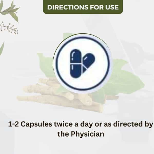 Uma Ayurveda Ashwagandha Capsule Ayurvedic Capsules 60 Caps