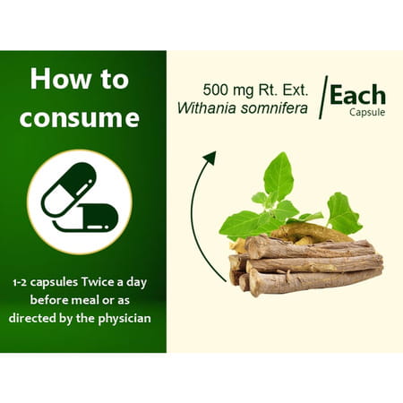 Uma Ayurveda Ashwagandha Capsule Ayurvedic Capsules 60 Caps