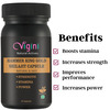 Vigini Hammer King Lubricants Sexual Enhancer Delay Spray Men & Shilajit Gold Power Booster Capsule
