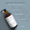 Moroccan Argan Oil Hair Shampoo (300Ml) Pack Of 3
