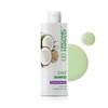 Organic Harvest Daily Shampoo For Men/Women | Coconut & Quinoa Extract | | All Types Of Hairs, 500Ml