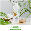 Organic Harvest Daily Shampoo For Men/Women | Coconut & Quinoa Extract | | All Types Of Hairs, 500Ml