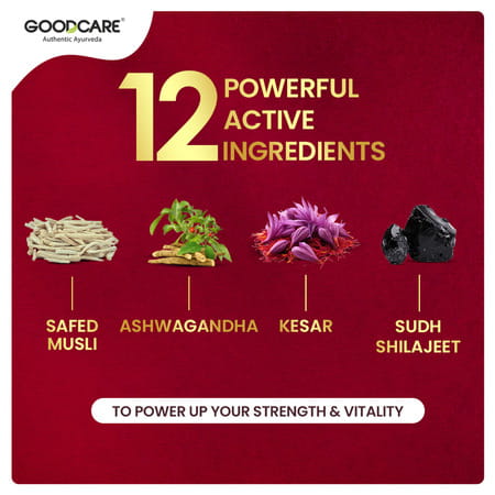 Goodcare Vigor 100 | Stamina Support | 30 Caps | 500 Mg | Boost Energy & Endurance