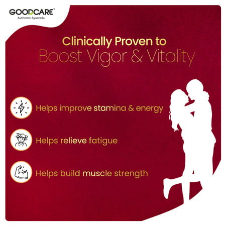 Goodcare Vigor 100 | Stamina Support | 30 Caps | 500 Mg | Boost Energy & Endurance
