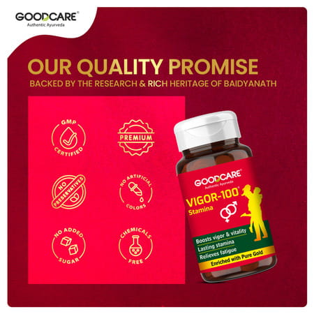 Goodcare Vigor 100 | Stamina Support | 30 Caps | 500 Mg | Boost Energy & Endurance