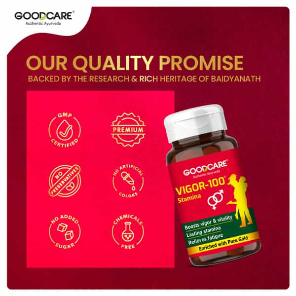 Goodcare Vigor 100 | Stamina Support | 30 Caps | 500 Mg | Boost Energy & Endurance
