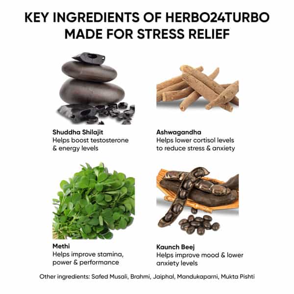 Dr. Vaidya's Herbo24turbo Made For Stress Relief(Pack Of 1)