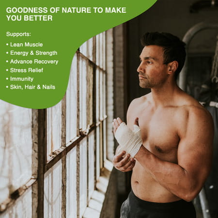 Vegan Greens Clean Men Plant Protein With Ayurvedic Herbs Vitamins Mineral 500G | Chocolate Delight