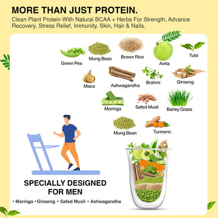 Vegan Greens Clean Men Plant Protein With Ayurvedic Herbs Vitamins Mineral 500g | Chocolate Delight