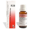 Dr. Reckeweg R28 Dysmenorrhea And Amenorrhea Drops 22 Ml