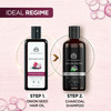 The Man Company Onion Hair Oil With 10 Essential Oils For Hair Growth & Hair Fall Control - 100 Ml