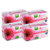 Everteen Daily Panty Liners With Antibacterial Strip|Light Discharge & Leakage - 4 Packs, 36Pcs Each