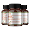 Jiva Arjuna Tablets|Promotes Heart Health|Maintain Cholestrol Level - 60 Tabs (Pack Of 3)