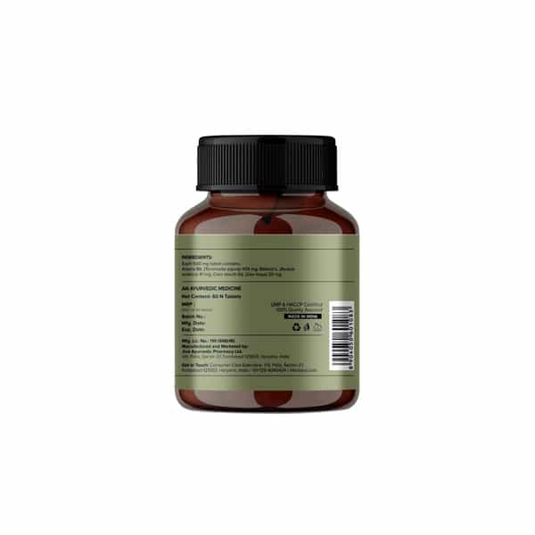 Jiva Arjuna Tablets|Promotes Heart Health|Maintain Cholestrol Level - 60 Tabs (Pack Of 3)