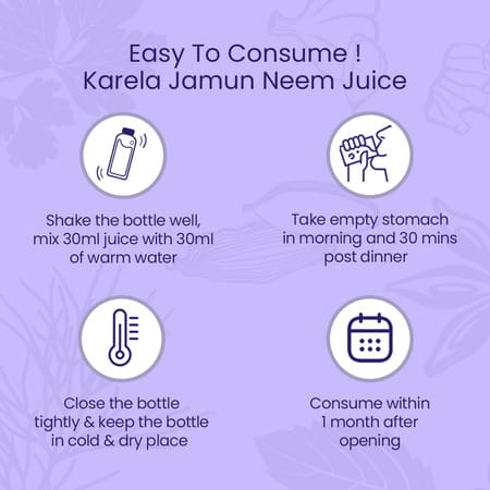 Krishna's Karela Jamun Neem Juice - 1 Litre
