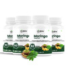 Oribite Moringa Seed Oil Capsules For Wellness Support 60 Capsules