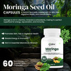 Oribite Moringa Seed Oil Capsules For Wellness Support 60 Capsules