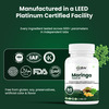 Oribite Moringa Seed Oil Capsules For Wellness Support 60 Capsules