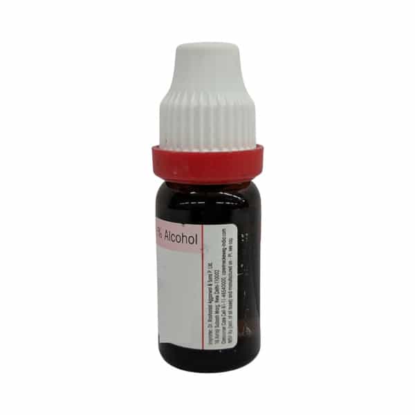 Dr. Reckeweg Ledum Palustre 30 Ch (11Ml)