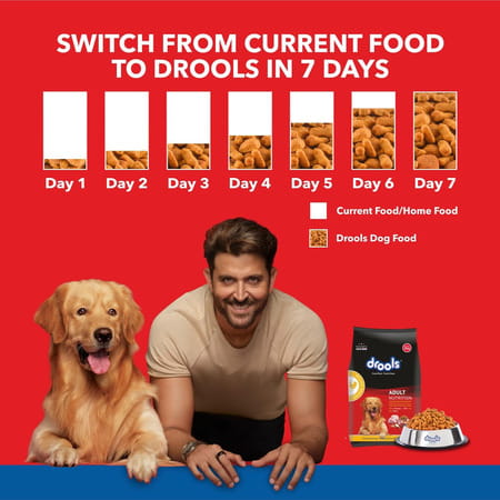 Drools Chicken And Egg Adult Dry Dog Food | 20kg